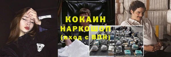 spice Ладушкин
